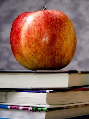 梦幻般的网页攻击平台